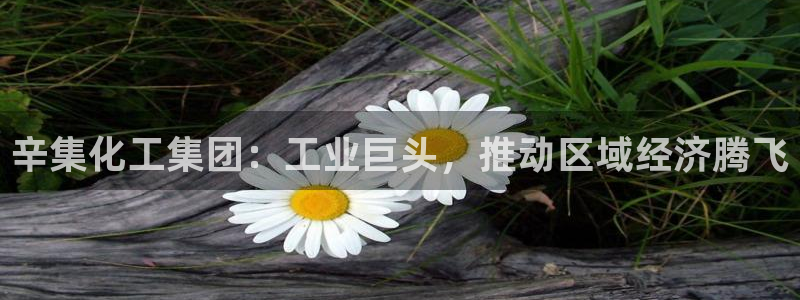 球盟会App