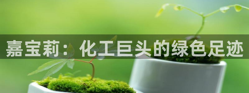 球盟会优惠码