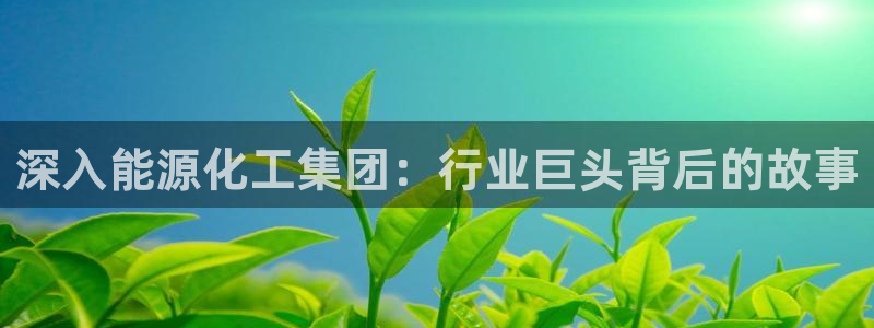 球盟会网址多少
