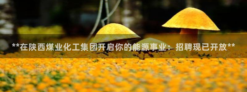 球盟会黑台