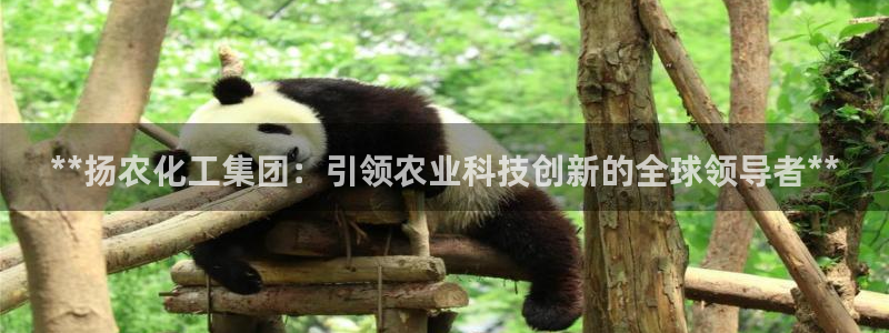 球盟会有没有黑单的