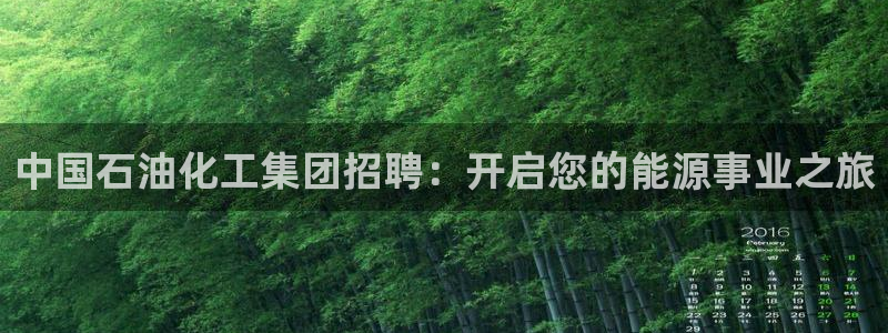 球盟会连接