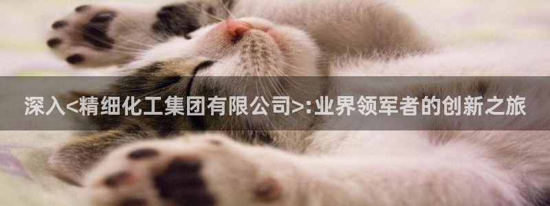 球盟会可以提现么现在