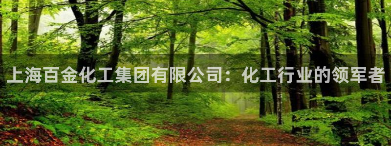球盟会体育app官方网站