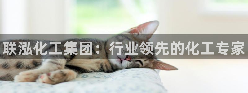 球盟会国际官网