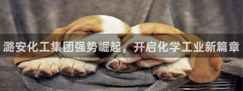 球盟会黑台子吗