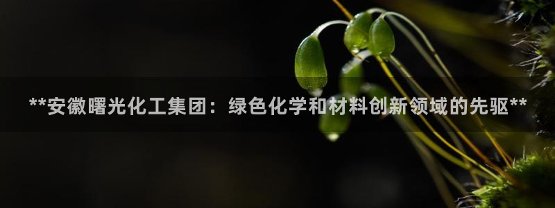 球盟会电子好黑