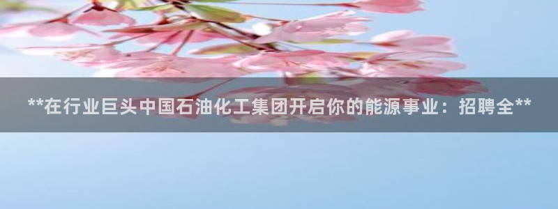 球盟会官网