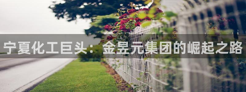 球盟会登录平台入口