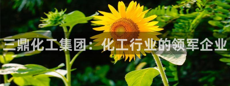 球盟会官方平台入口