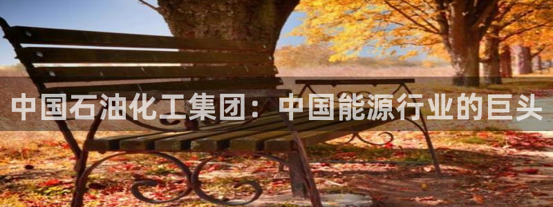球盟会出款黑了