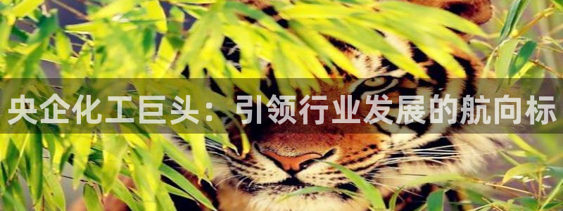 球盟会最新网