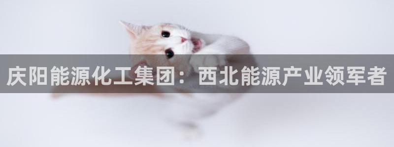 球盟会电子好下吗