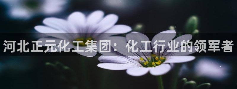 球盟会能退钱吗现在