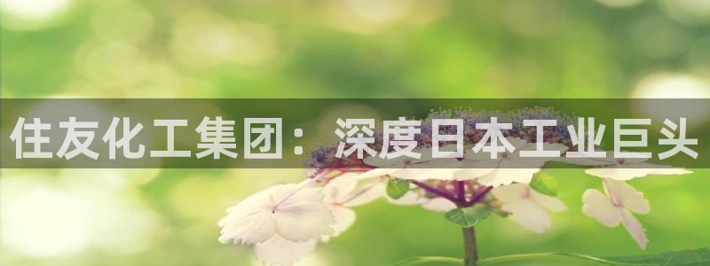 球盟会在线登录官网