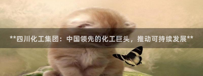 球盟会qmh