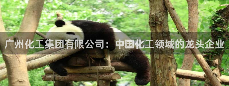 球盟会综合体育平台