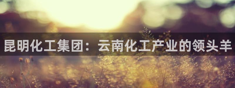 球盟会网页登录入口