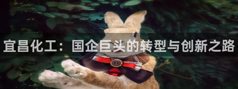 球盟会游戏