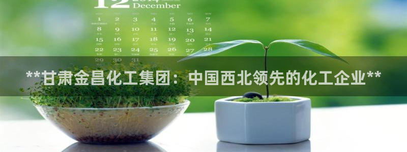 球盟会官方网入口