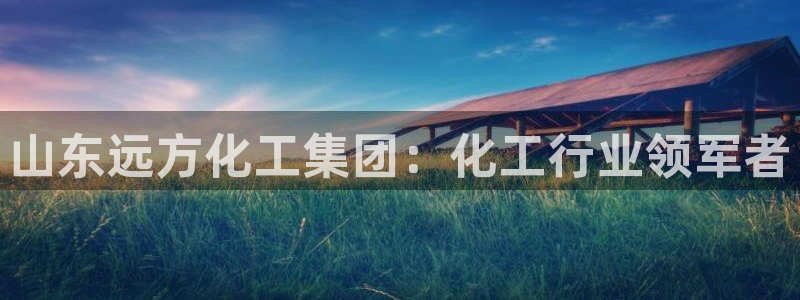 球盟会qm9