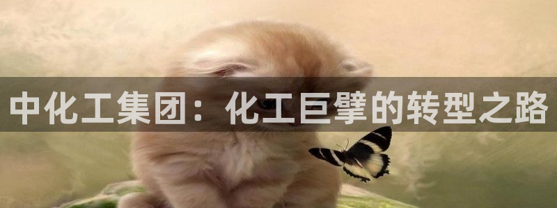 球盟会app最新地址在哪