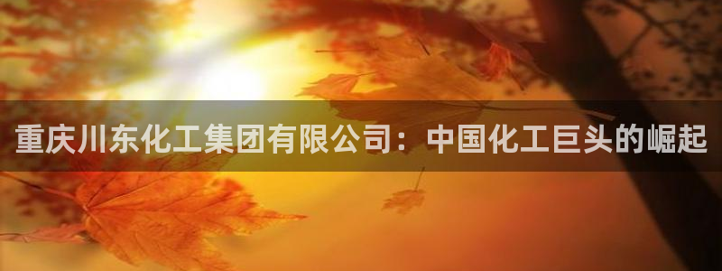 球盟会贴吧