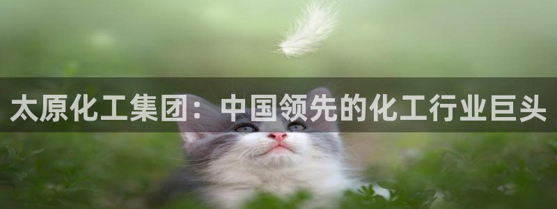 球盟会app：太原化工集团：中国领先的化工行业巨头