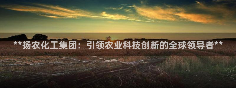 球盟会进不去：**扬农化工集团：引领农业科技创新的全球领导者