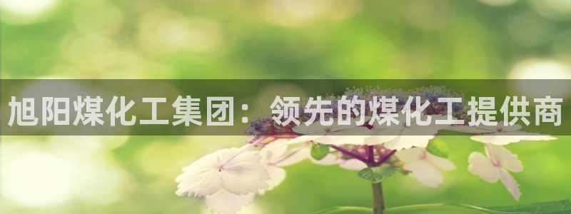 球盟会有没有黑单的人：旭阳煤化工集团：领先的煤化工提供商