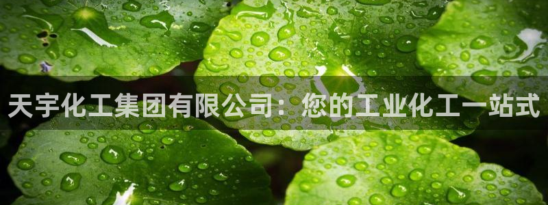 球盟会体育平台：天宇化工集团有限公司：您的工业化工一站式