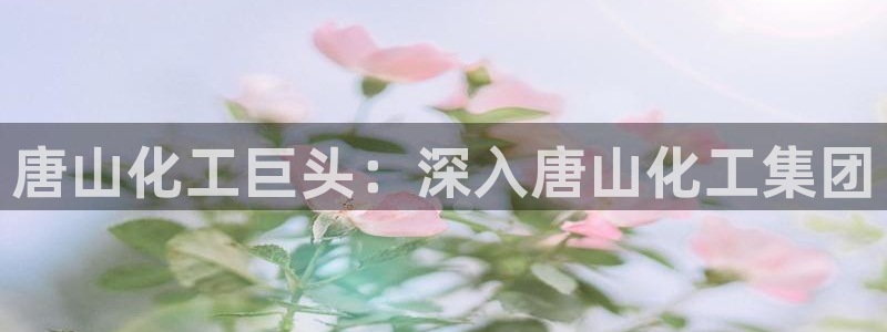 球盟会网页版