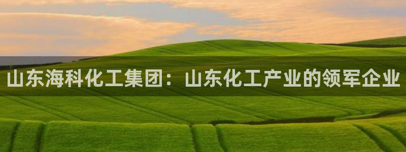 球盟会官方平台入口：山东海科化工集团：山东化工产业的领军企业