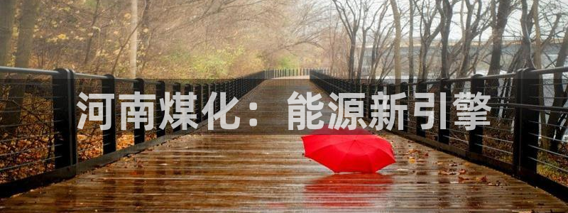 球盟会官方：河南煤化：能源新引擎