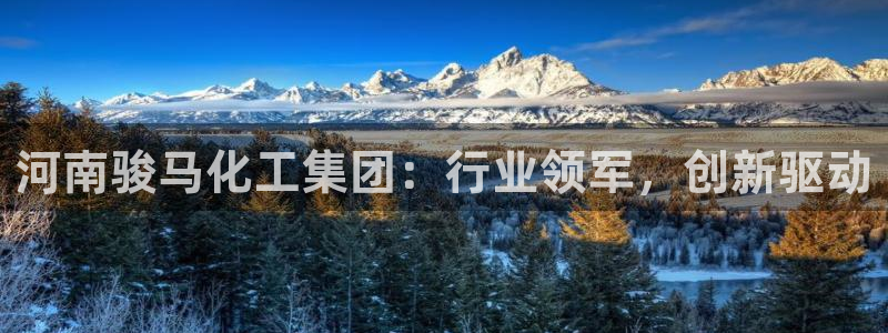 球盟会连接