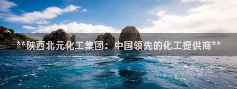 球盟会在线登录官网：**陕西北元化工集团：中国领先的化工提供