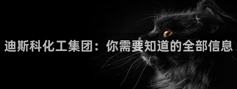 球盟会官方下载