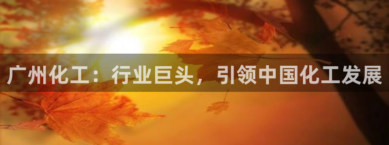 球盟会体育app官方网站