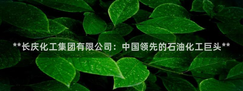 球盟会app最新地址在哪找：**长庆化工集团有限公司：中国领