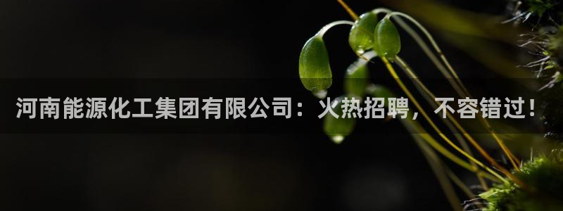 球盟会