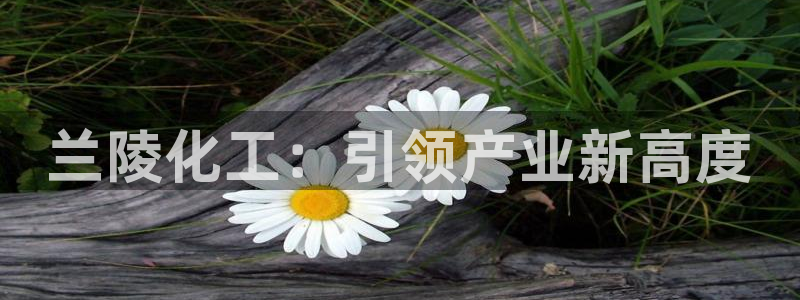 球盟会app最新地址下载安装：兰陵化工：引领产业新高度