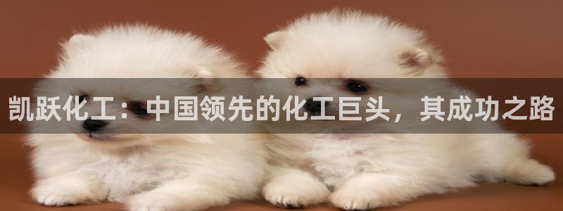 球盟会网页登录app下载地址