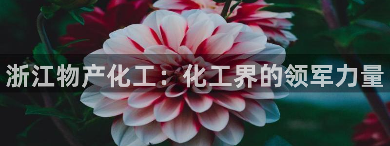 球盟会有没有黑单的
