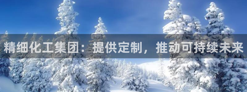 球盟会qmh网址：精细化工集团：提供定制，推动可持续未来
