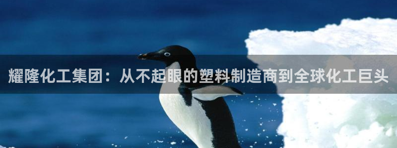 球盟会官方网址入口