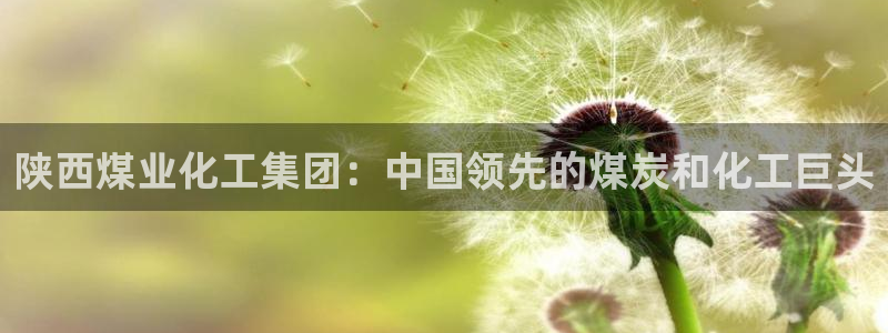 球盟会可以提现么是真的吗：陕西煤业化工集团：中国领先的煤炭和