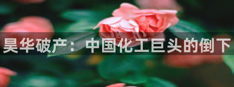 球盟会官方平台入口