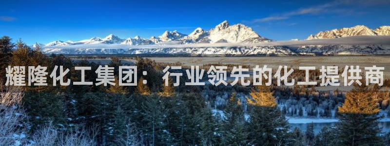 球盟会黑网：耀隆化工集团：行业领先的化工提供商