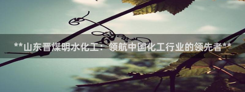球盟会体验金球奖吗：**山东晋煤明水化工：领航中国化工行业的