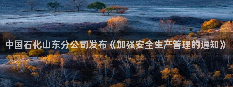 球盟会官方网址入口：中国石化山东分公司发布《加强安全生产管理